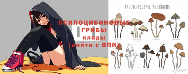 гидра Алзамай