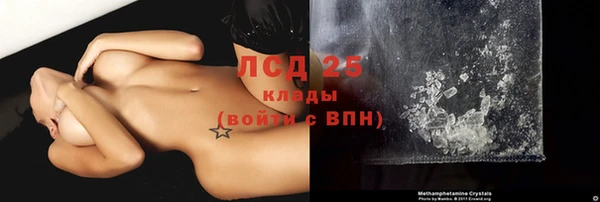сатива Алексин